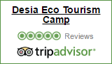 TripAdvisor