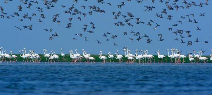 Holidays in Puri