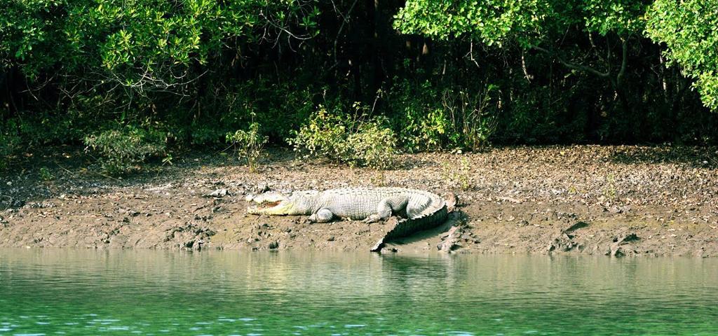 Nature Tours in Odisha