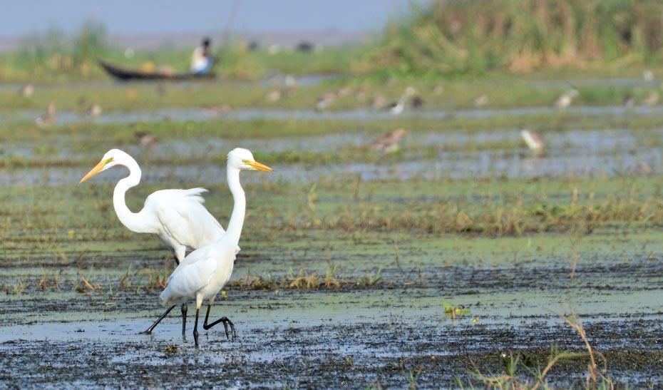 Eco Tourism in Odisha