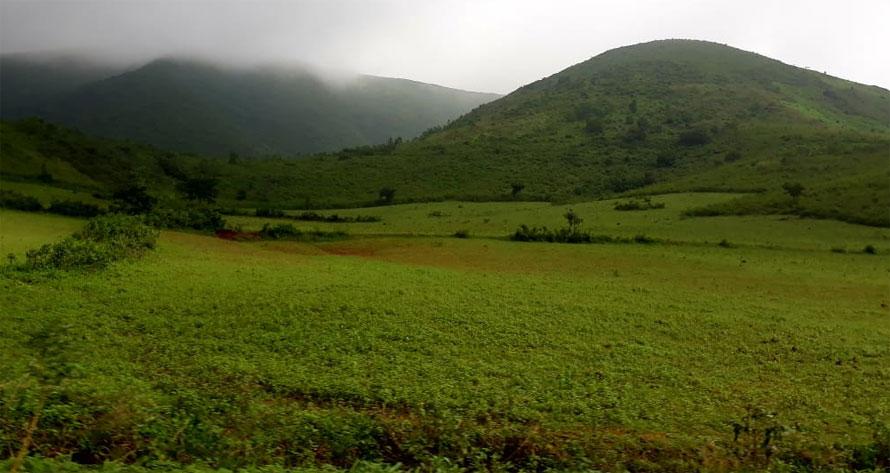 Monsoon at Koraput Valley Odisha