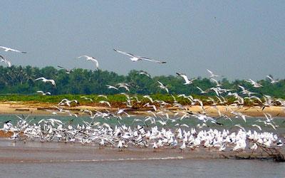 Chilika-Lake