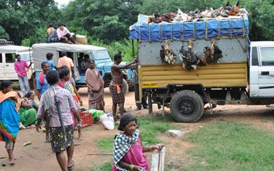 tribal-market-odisha