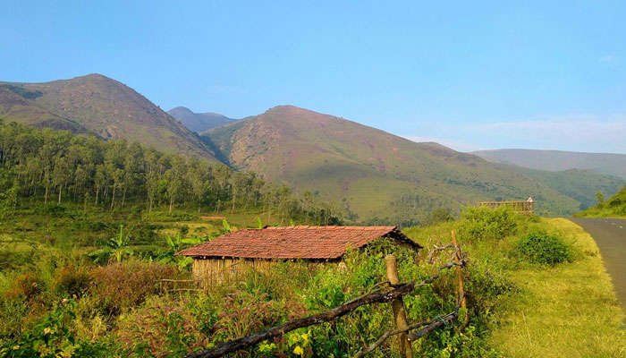 Stay at Deomali with Desia Koraput - A Peaceful Escape into Odisha’s Highest Peak