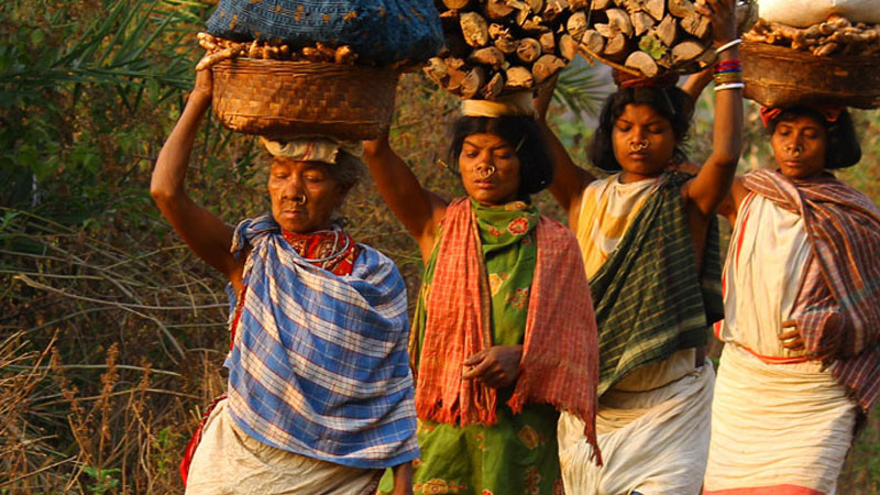 Discover-the-Rich-Heritage-of-Orissa-Tribal-Tours-with-Desia-Koraput