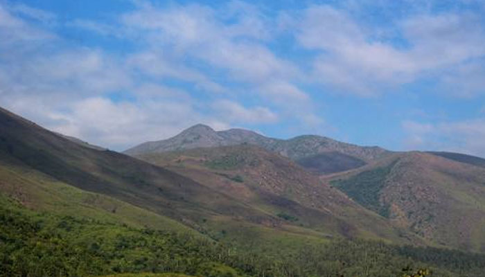 Stay-in-Deomali-A-Peaceful-Retreat-in-the-Heart-of-Odisha’s-Natural-Beauty