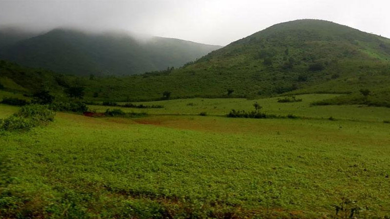 Experience-Authentic-Tribal-Life-in-Koraput-A-Responsible-Tour-with-Desia-Koraput