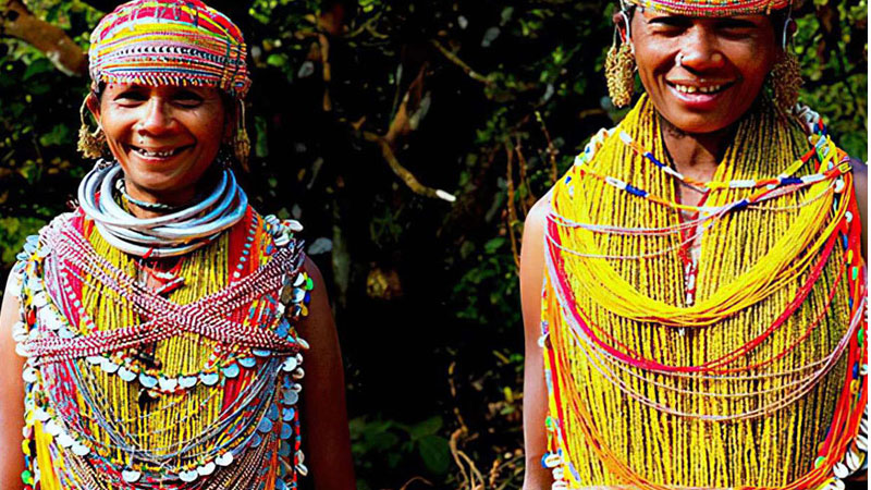 Experience-the-Heartbeat-of-India-Authentic-Odisha-Tribal-Tours-with-Desia-Koraput