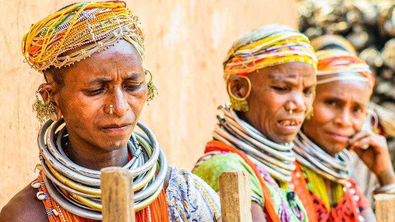 India Tribal Tours Unique Cultural Journeys Through Hidden Villages and Traditions