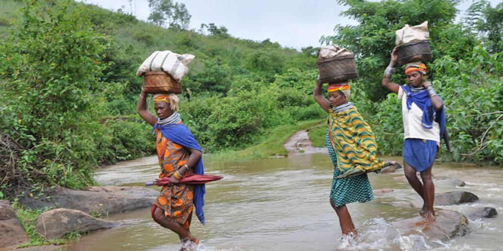 Odisha-Tribal-Tours-A-Cultural-Journey-into-Hidden-Traditions