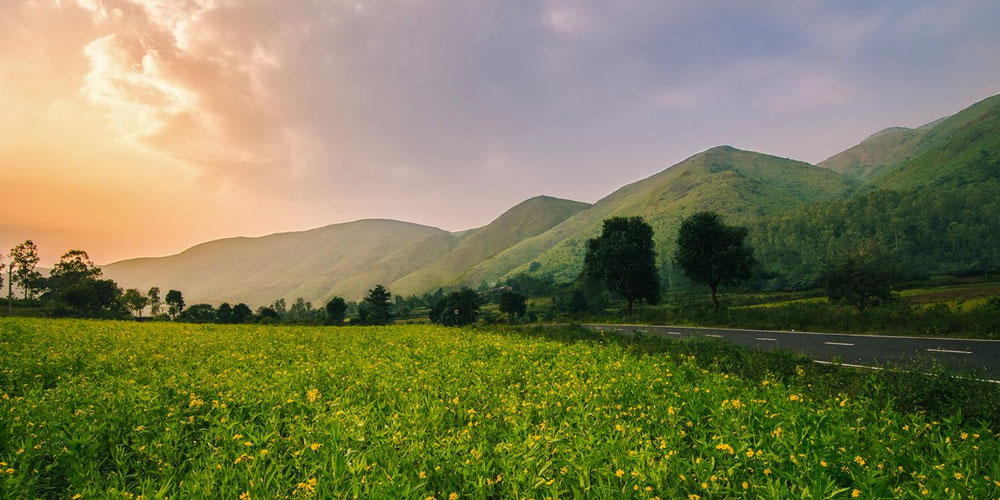 Discovering-the-Soul-of-the-East-How-to-Practice-Meaningful-and-Responsible-Tourism-in-Odisha-with-Desia-Koraput