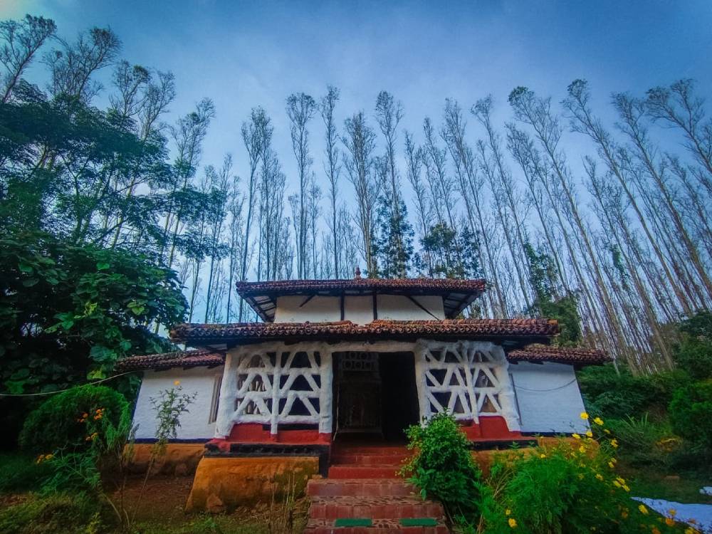 eco-stay-at-koraput-5