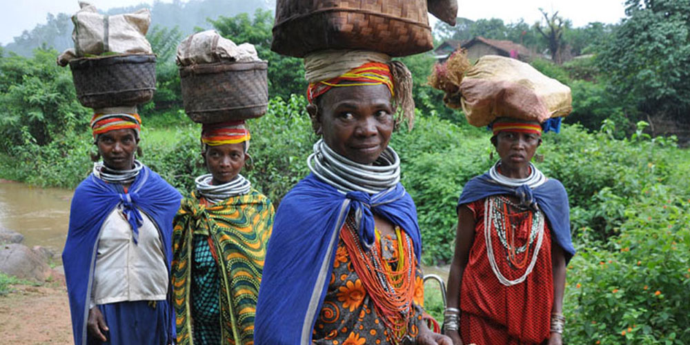 Immersive-Tribal-Tour-in-Koraput-Cultural-Trails-Tribal-Villages-and-Natural-Wonders