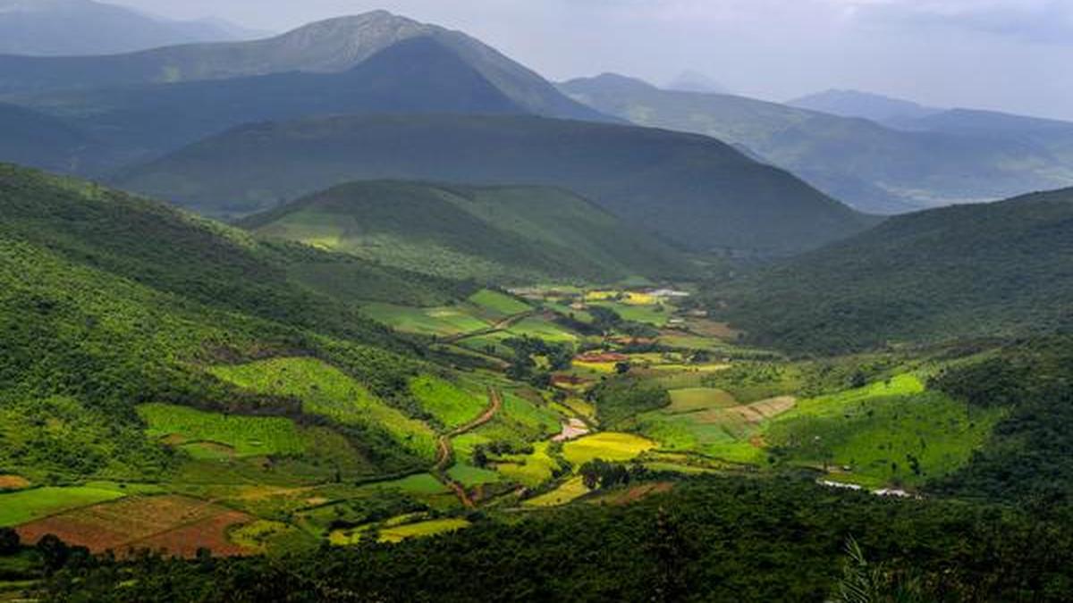 stay-at-deomali-your-peaceful-mountain-retreat-in-odishas-highest-peak